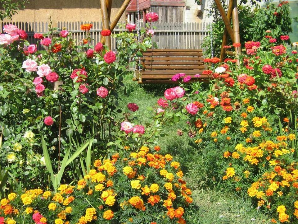 شقة Casa Fetic نيهويو المظهر الخارجي الصورة
